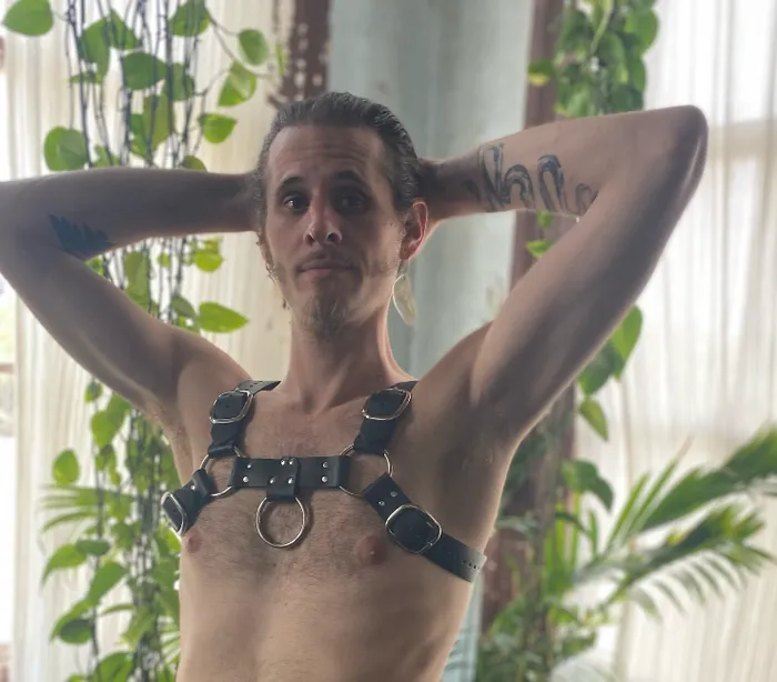 Female Sex Toys Talisman Bulldog Harness