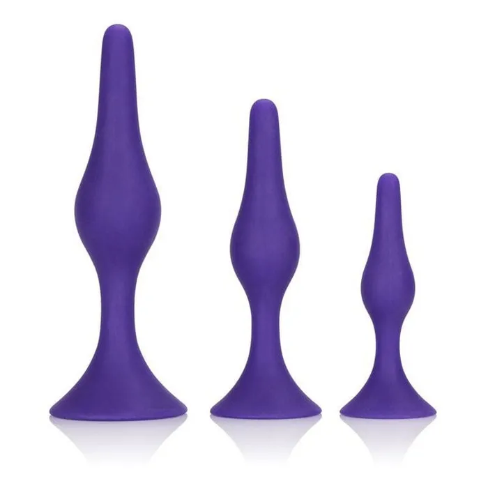 Anal CALEXOTICS Calexotics Booty Call Booty Trainer Kit Purple