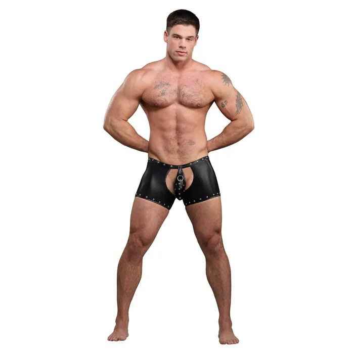 Male Power Male Sex Toys Male Power Fetish Poseidon Wet Look Crotchless Backless Chap Shorts