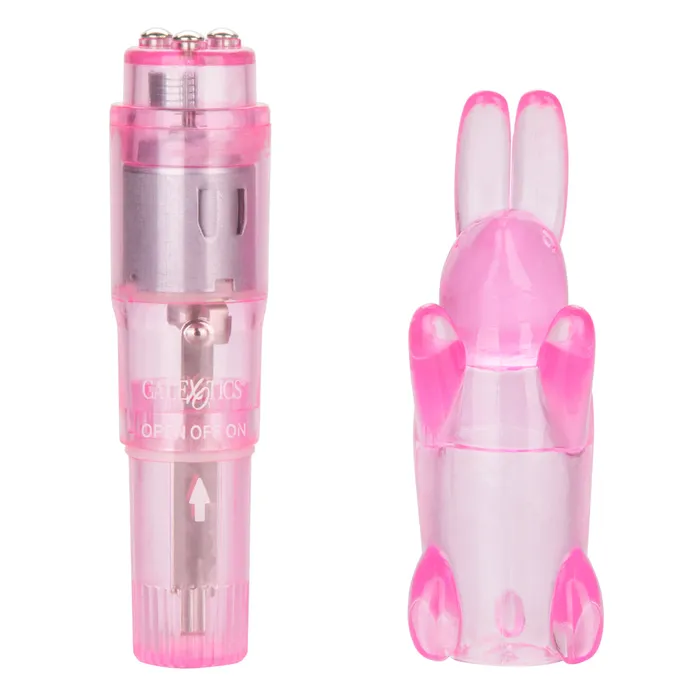 Shanes World Pocket Party Mini Vibrator With Rabbit Sleeve California Exotics Female Sex Toys