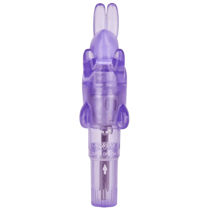 Shanes World Pocket Party Mini Vibrator With Rabbit Sleeve California Exotics Female Sex Toys