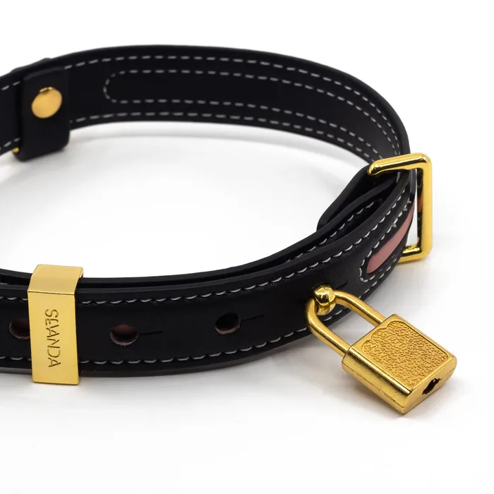 Vibrators Foshan Sevanda Lockable Bow Collar Chain Leash