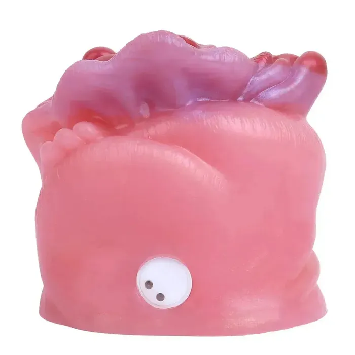 Xinghaoya Female Sex Toys Remote Control Vibrating Mini Pocket Pussy
