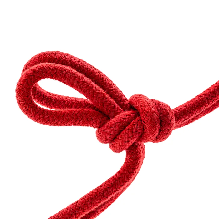 Blush Novelties Temptasia Bondage Rope 32 Feet Red Restraints