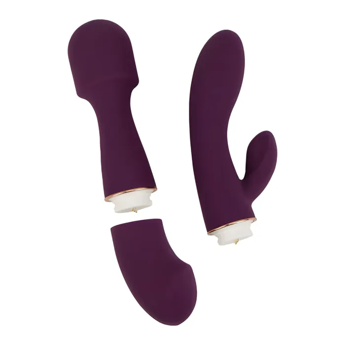 Female Sex Toys Loving Joy Loving Joy DUA Interchangeable Vibrator with 2 Attachments