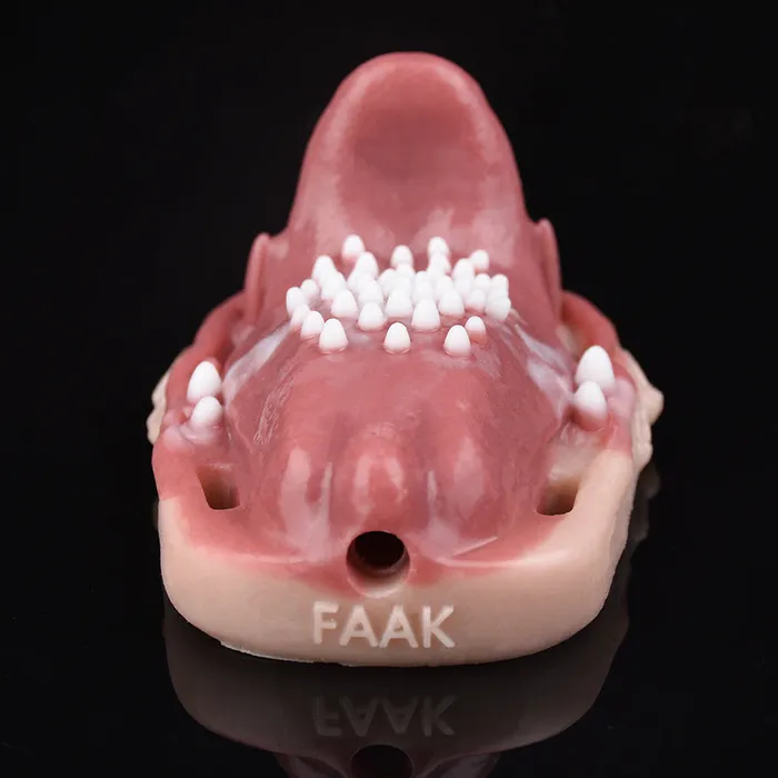 Realistic Tongue Grinder Female Sex Toys Remote Control Vibrating Bullet Strapless Oral Masturbation Domlust Female Sex Toys