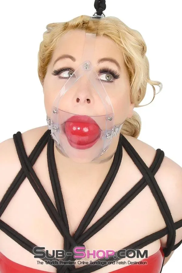 7170A Clearly Stuffed 2 Large Ball Gag Trainer Autumn Male Sex Toys