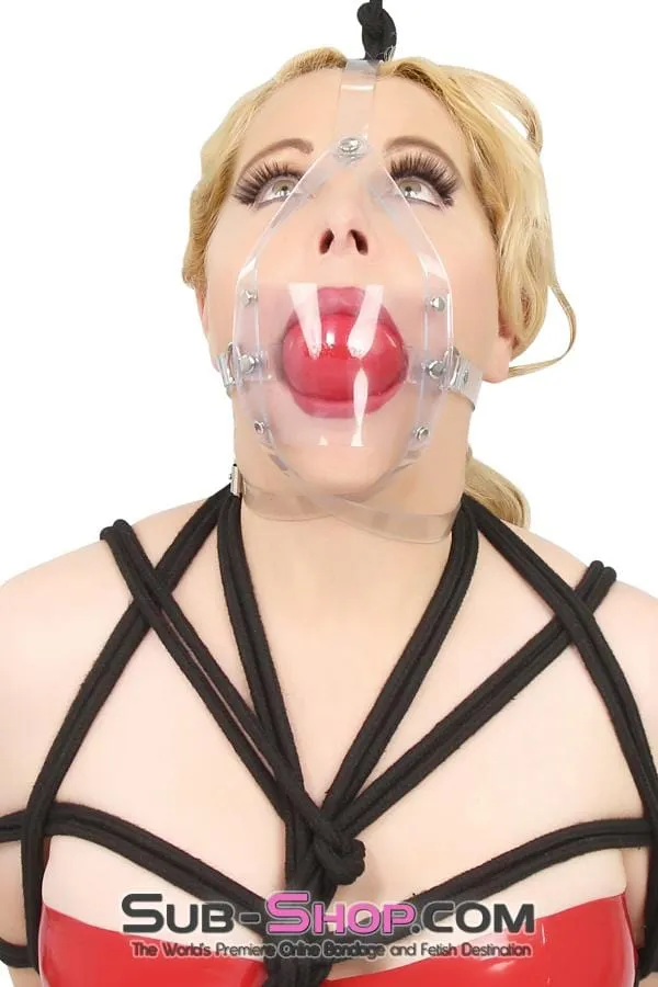 7170A Clearly Stuffed 2 Large Ball Gag Trainer Autumn Male Sex Toys