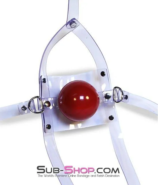 7170A Clearly Stuffed 2 Large Ball Gag Trainer Autumn Male Sex Toys