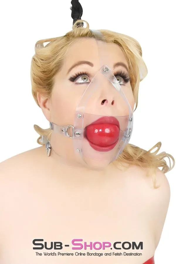 7170A Clearly Stuffed 2 Large Ball Gag Trainer Autumn Male Sex Toys