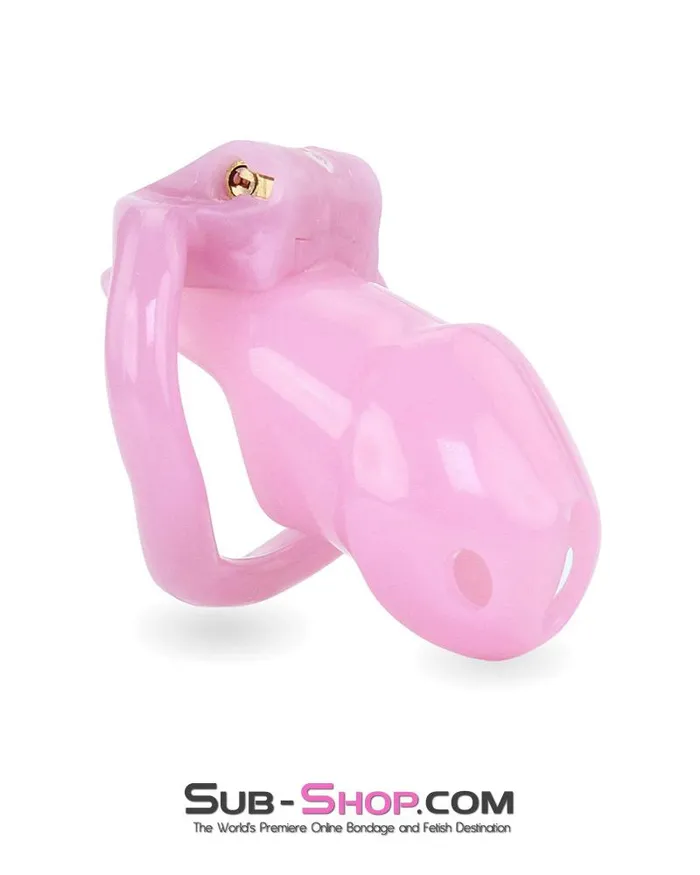 Male Sex Toys Ali Express 3744AE Little Sissy Bitch Short High Security Keyed Tumbler Locking Male Chastity with 4 Base Cock Ring Sizes MEGA Deal
