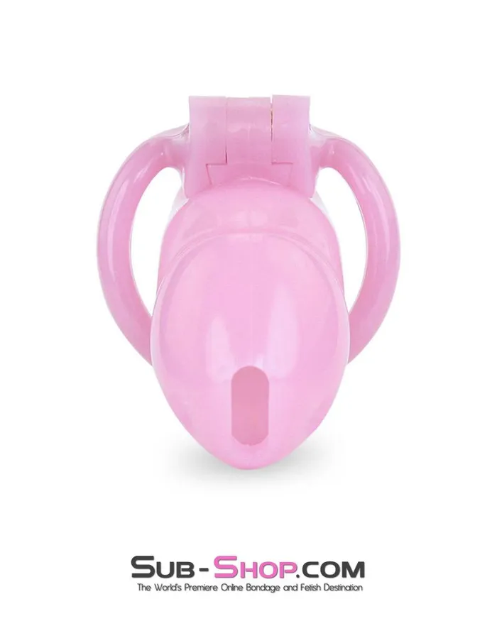 Male Sex Toys Ali Express 3744AE Little Sissy Bitch Short High Security Keyed Tumbler Locking Male Chastity with 4 Base Cock Ring Sizes MEGA Deal