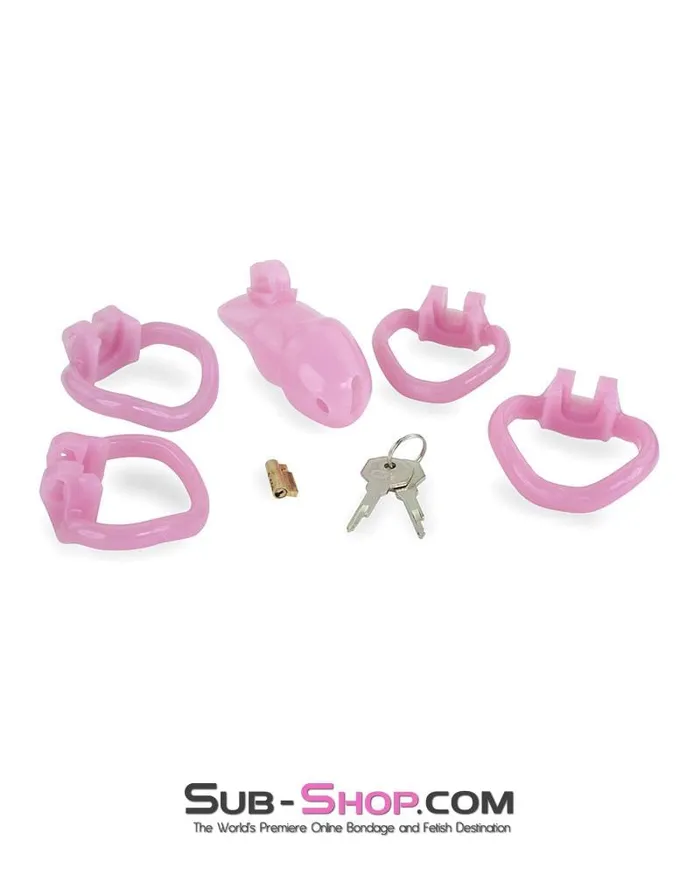 Male Sex Toys Ali Express 3744AE Little Sissy Bitch Short High Security Keyed Tumbler Locking Male Chastity with 4 Base Cock Ring Sizes MEGA Deal