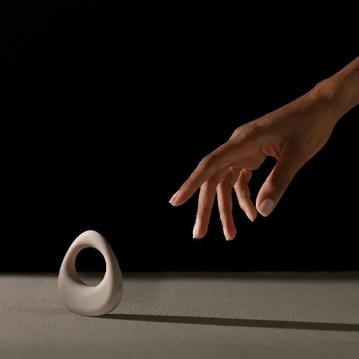 maude band Vibrators