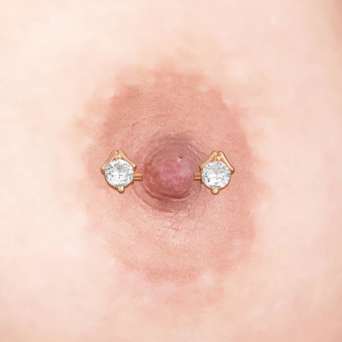 Anal Painful Pleasures 14g PVD Rose Gold Nipple Jewelry Set ProngSet Crystal Jeweled Straight Barbells and Captive Bead Rings