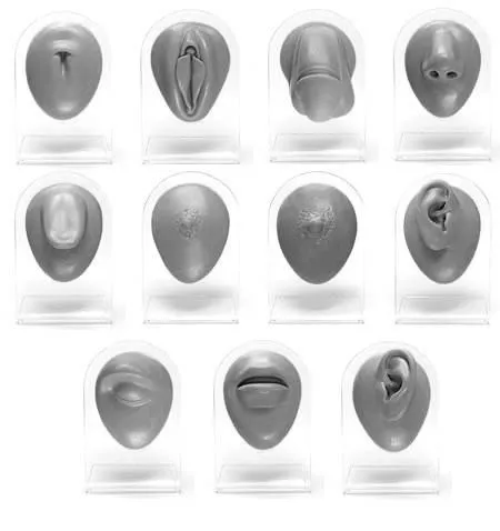 Anal Painful Pleasures Complete 11 Piece Silicone Display Set Version 1 Black Body Bits Anal Painful Pleasures Complete 11 Piece Silicone Display Set Version 1 Black Body Bits