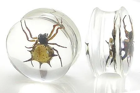 Anal Painful Pleasures Spider Real Spider inside Acrylic Plug 16mm24mm Price Per 1 Anal Painful Pleasures Spider Real Spider inside Acrylic Plug 16mm24mm Price Per 1