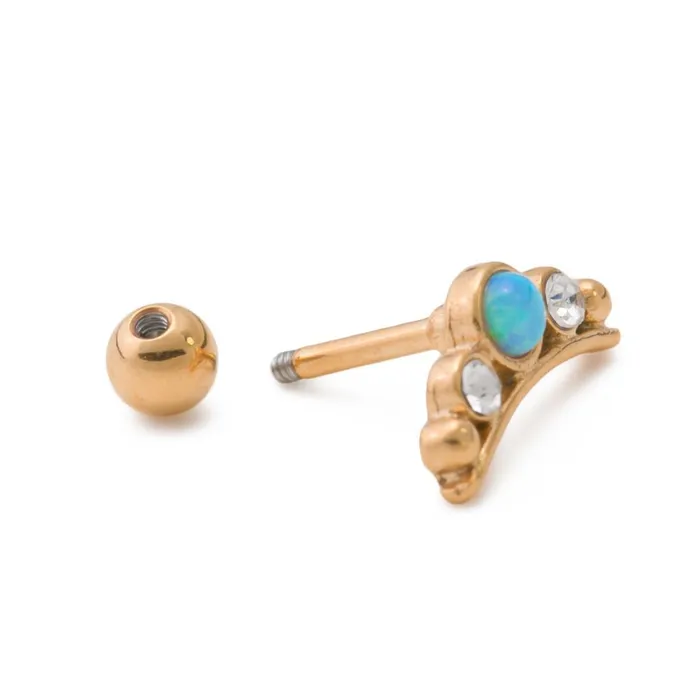 Female Sex Toys Painful Pleasures 16g 14 PVD Gold Tiara Straight Barbell Price Per 1