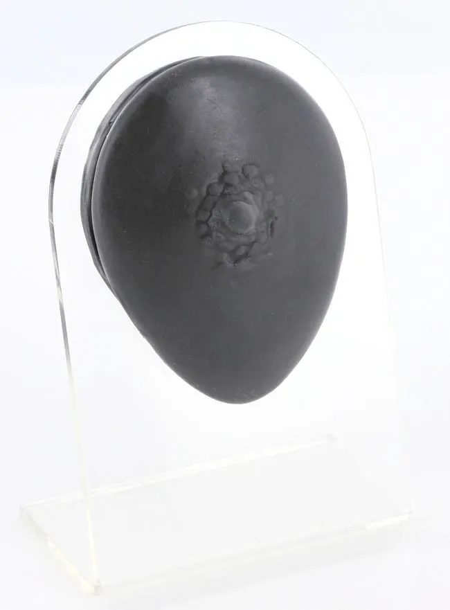 Painful Pleasures Anal Silicone Male Nipple Display Black Body Bit Version 1 Painful Pleasures Anal Silicone Male Nipple Display Black Body Bit Version 1