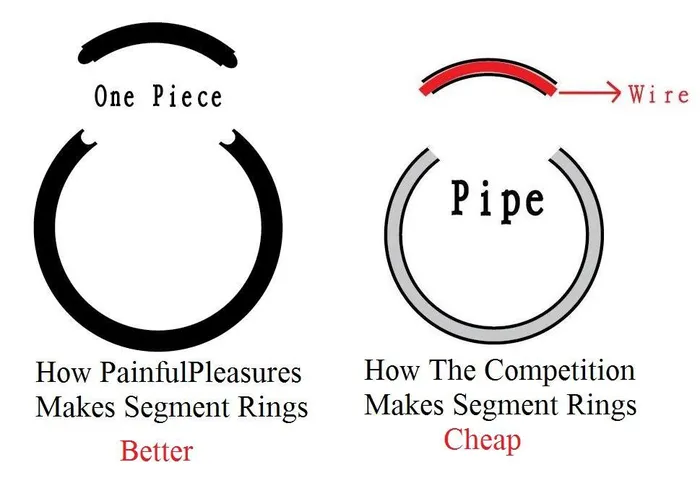 Painful Pleasures Male Sex Toys 10g Stainless Steel Segment Ring