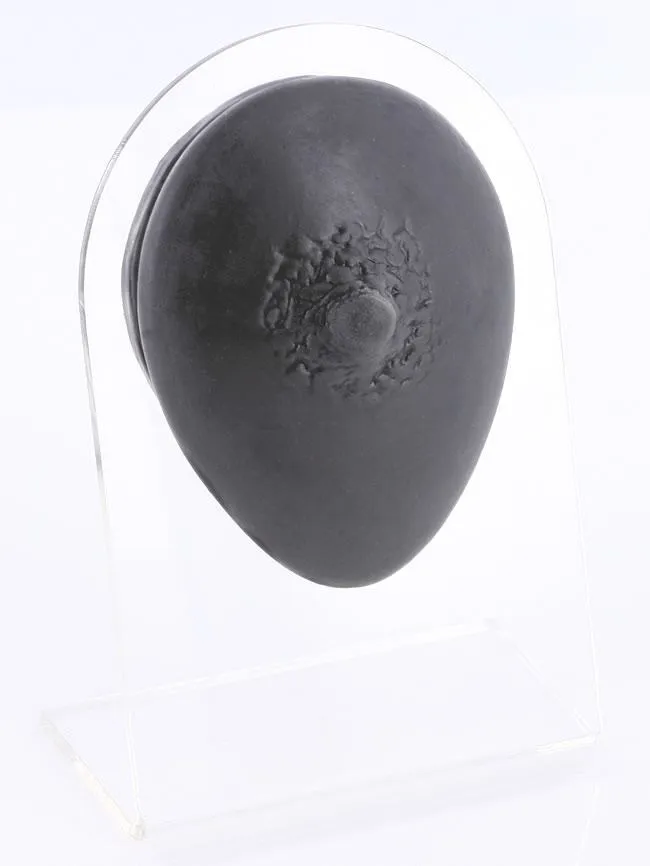 Silicone Female Nipple Display Black Body Bit Version 1 Painful Pleasures Anal Silicone Female Nipple Display Black Body Bit Version 1 Painful Pleasures Anal