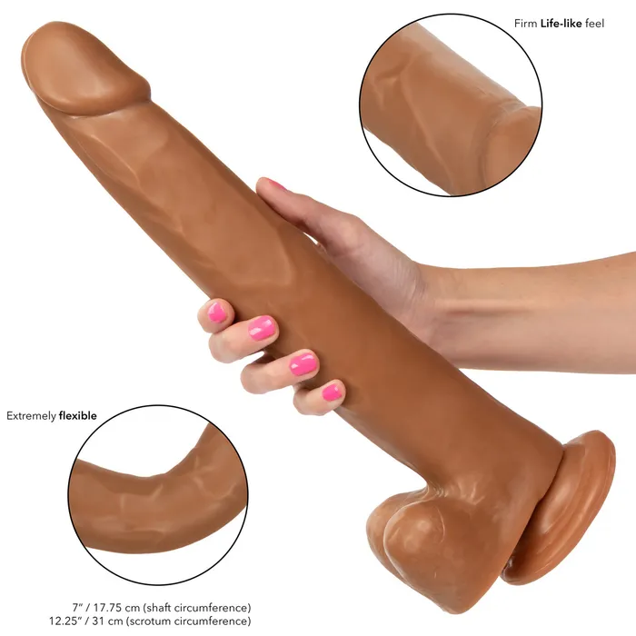 Size Queen 12 Inch Realistic Suction Cup Dildo Dong BROWN by Cal Exotics California Exotics Dildos Size Queen 12 Inch Realistic Suction Cup Dildo Dong BROWN by Cal Exotics California Exotics Dildos