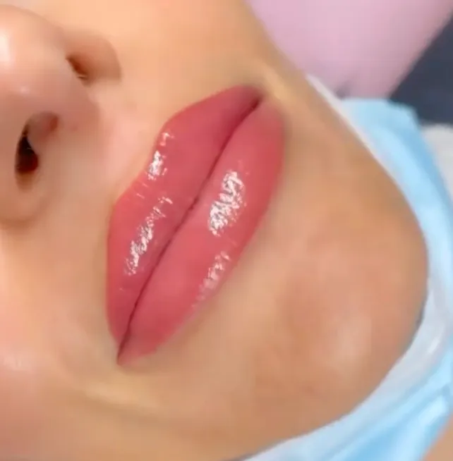 Sultry Lip Pillow Talk Perma Blend Perma Blend Vibrators