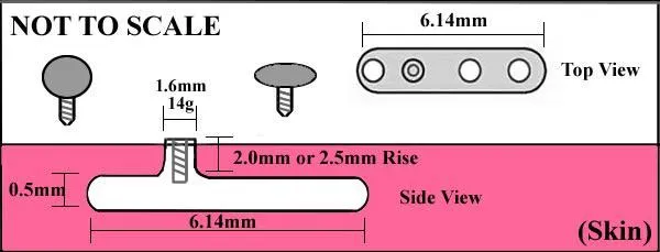 Tilum Male Sex Toys Tilum 14g Titanium Dermal Anchor with 2mm Rise and 2Hole Base Price Per 1